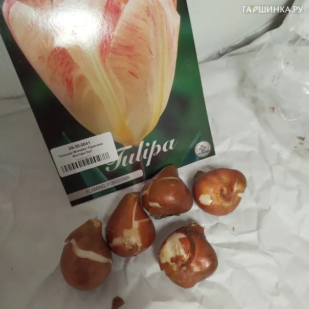 превью изображения отзыва