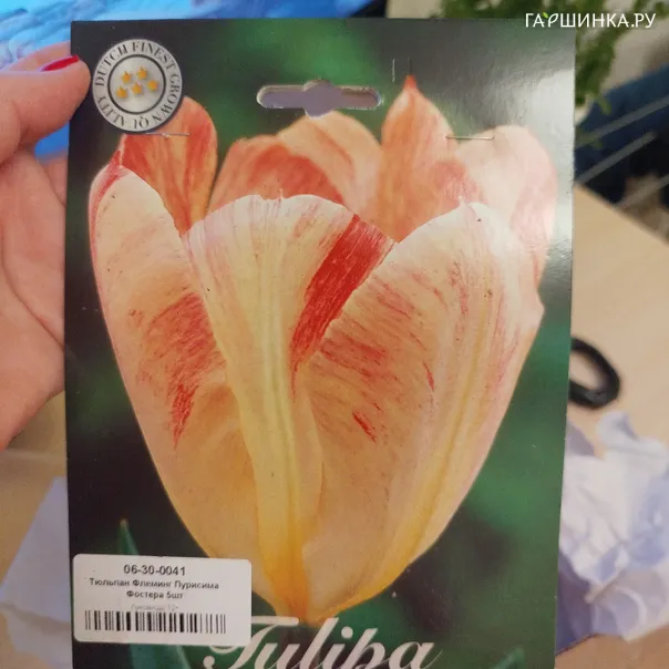 превью изображения отзыва