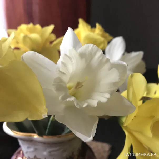 превью изображения отзыва