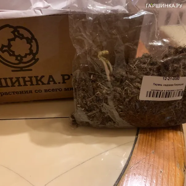 превью изображения отзыва