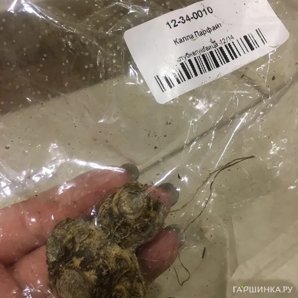 превью изображения отзыва