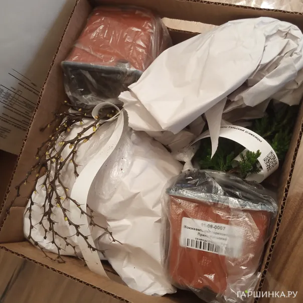 превью изображения отзыва