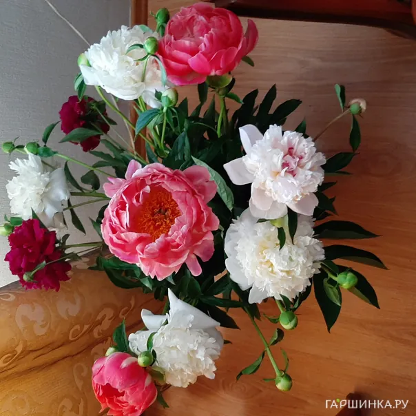 превью изображения отзыва