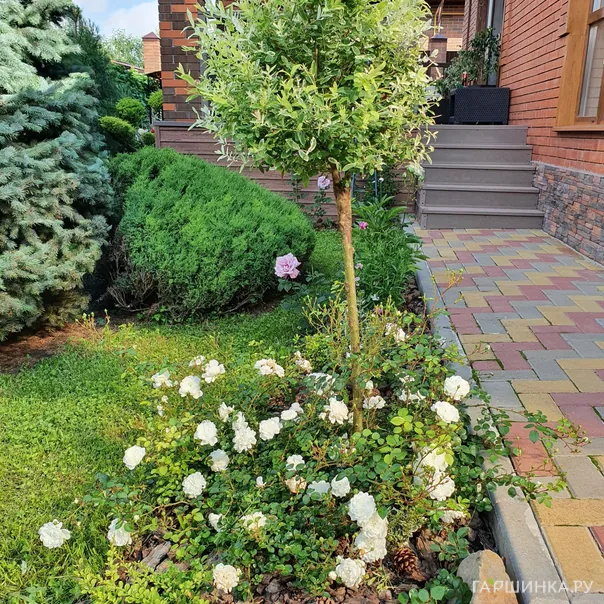 превью изображения отзыва