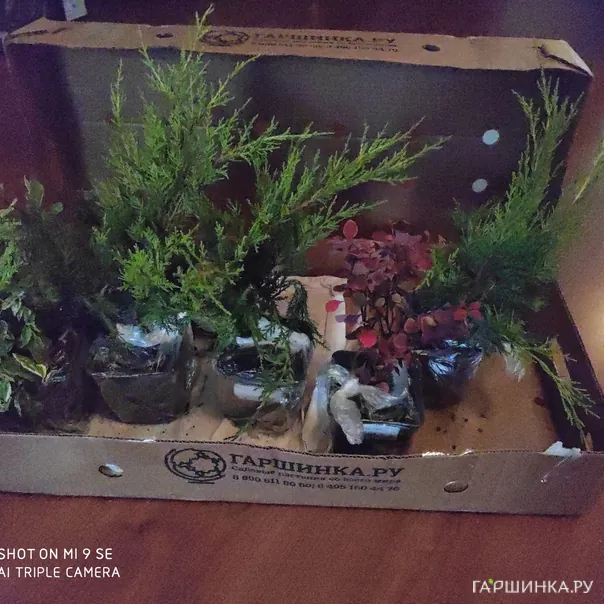 превью изображения отзыва