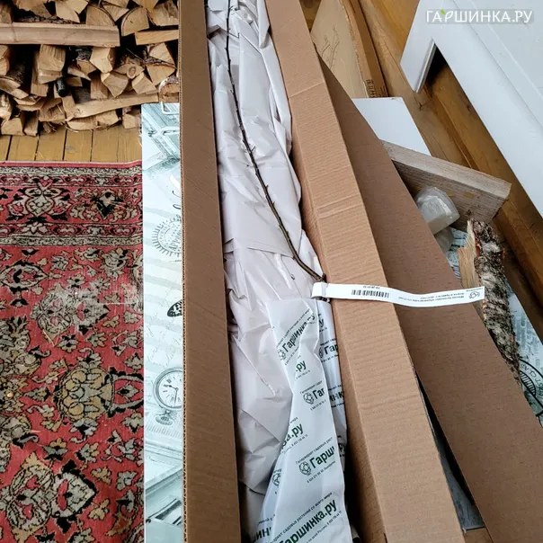 превью изображения отзыва