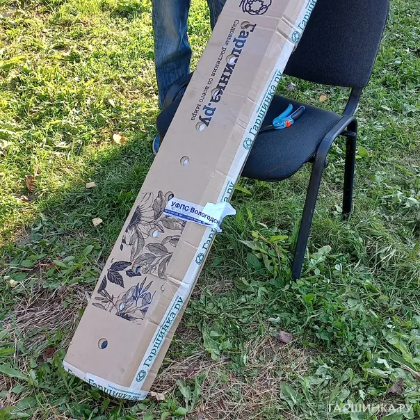 превью изображения отзыва