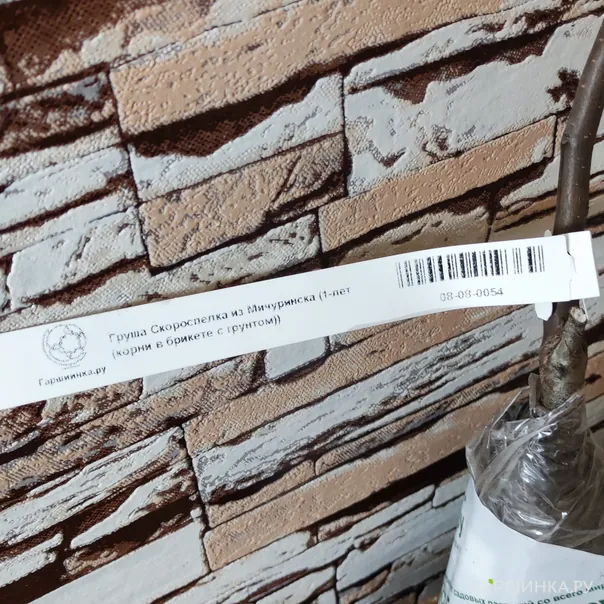 превью изображения отзыва