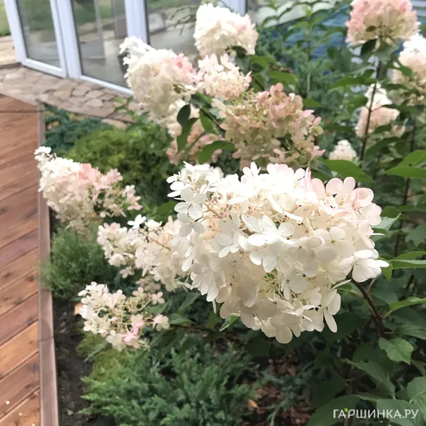 превью изображения отзыва