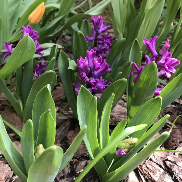 превью изображения отзыва