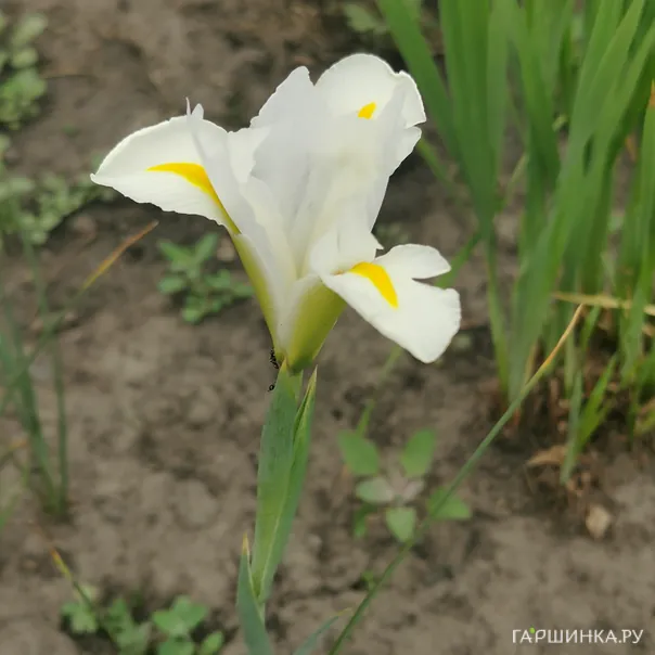 превью изображения отзыва