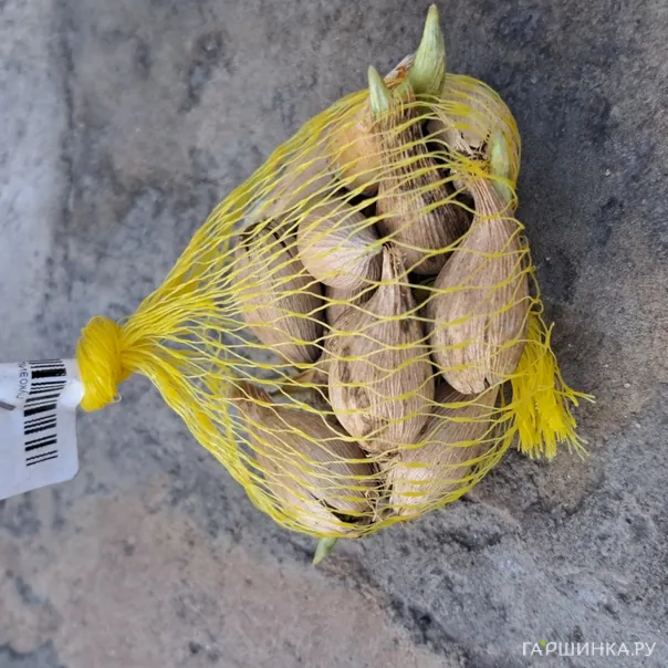 превью изображения отзыва