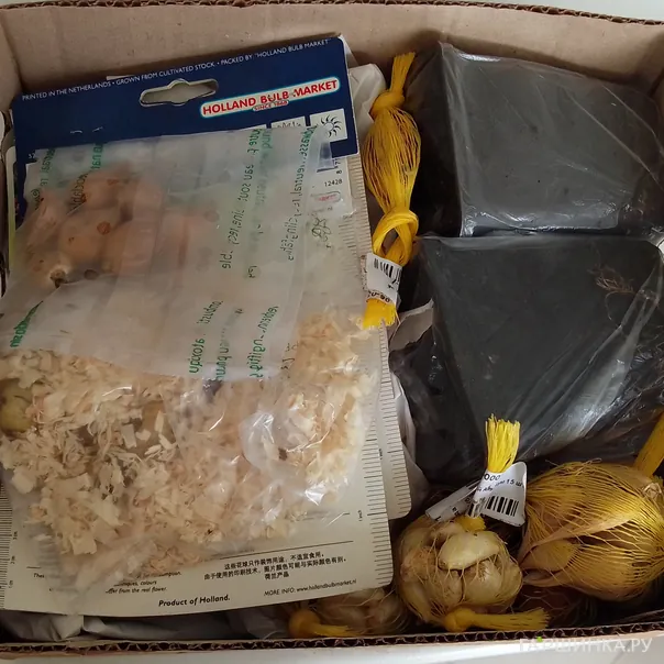 превью изображения отзыва