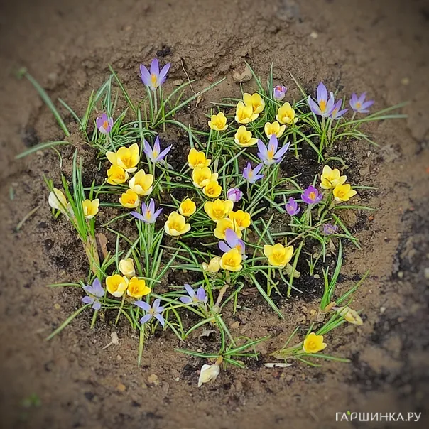 превью изображения отзыва