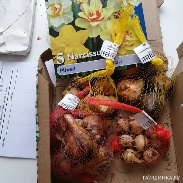 превью изображения отзыва