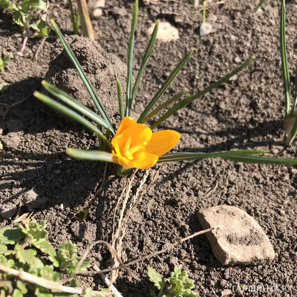 превью изображения отзыва