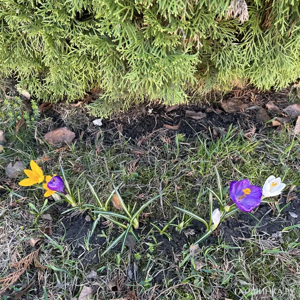 превью изображения отзыва