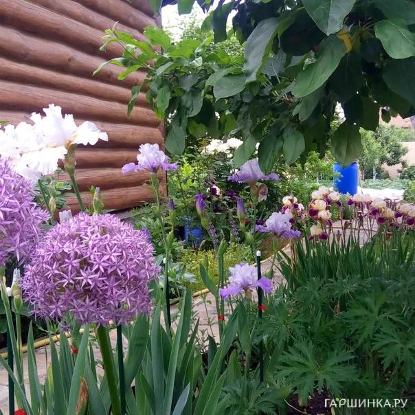 превью изображения отзыва