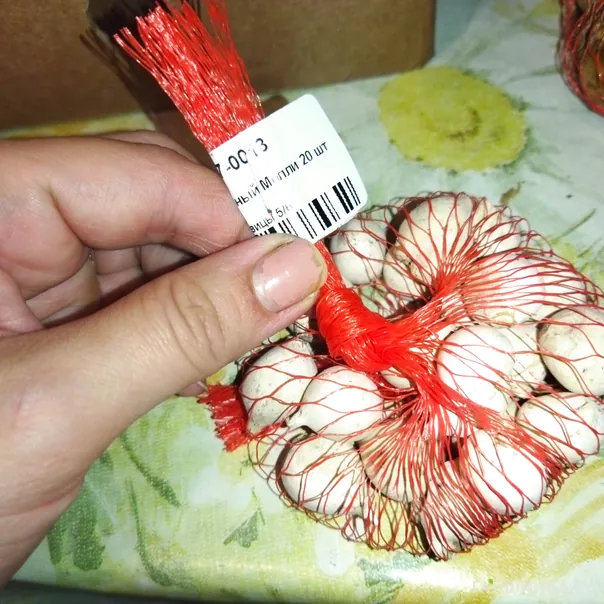 превью изображения отзыва