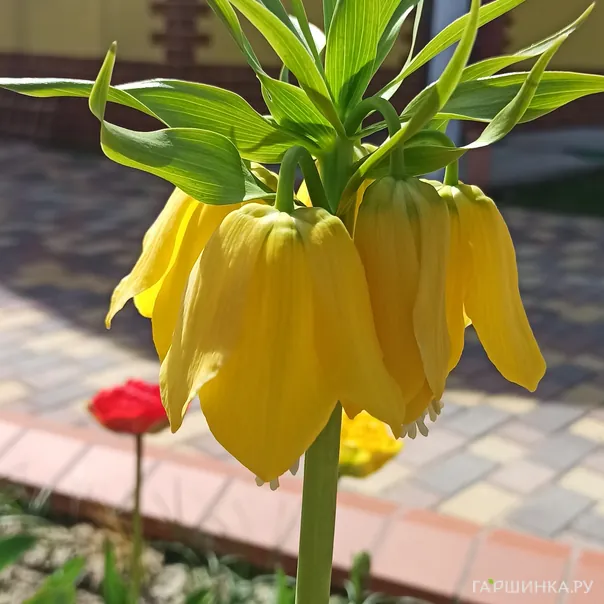 превью изображения отзыва