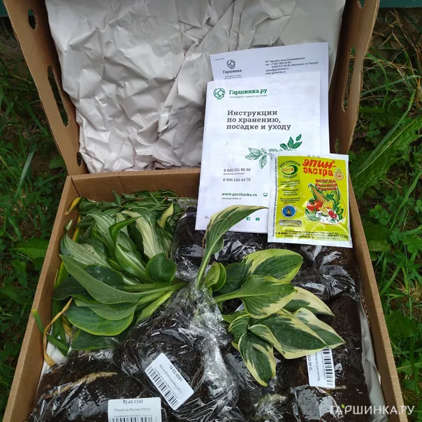 превью изображения отзыва