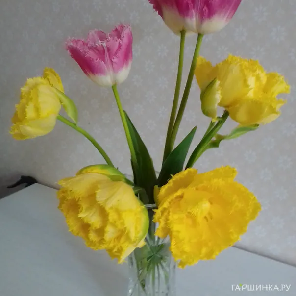 превью изображения отзыва