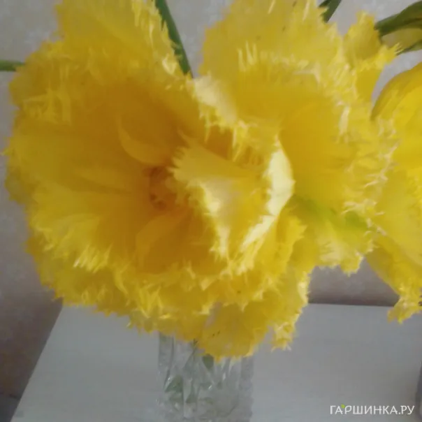 превью изображения отзыва