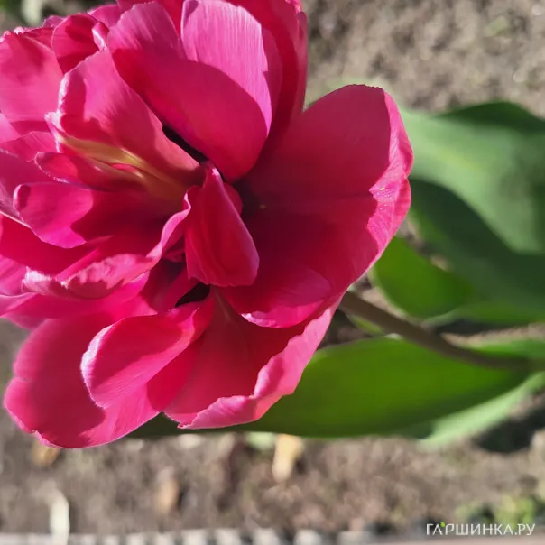 превью изображения отзыва