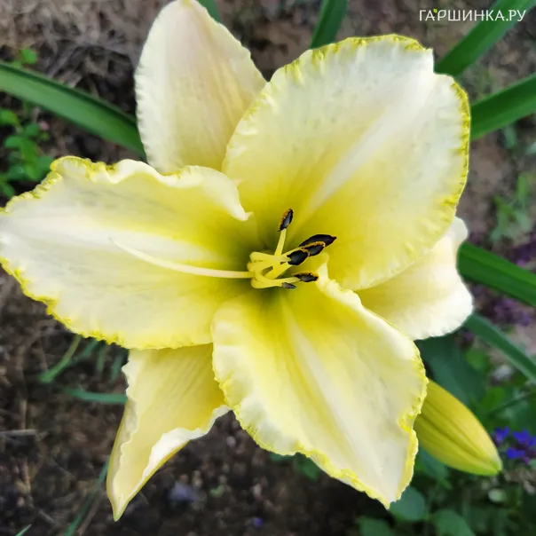 превью изображения отзыва