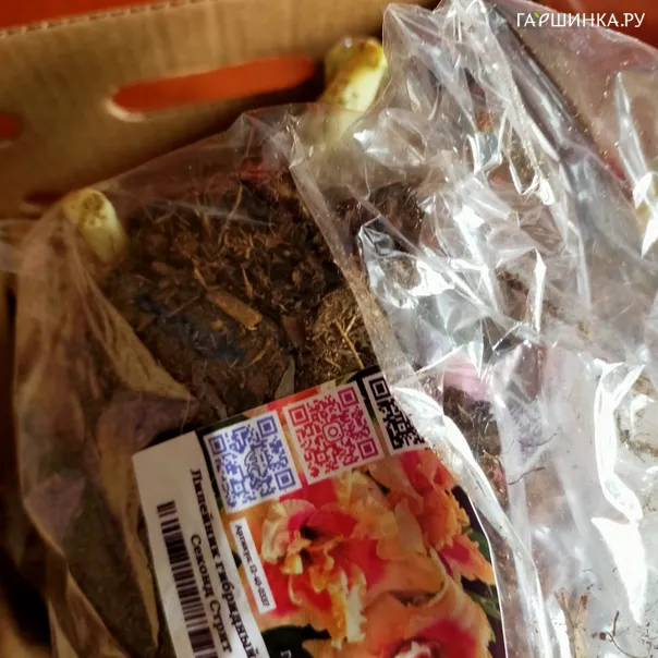 превью изображения отзыва