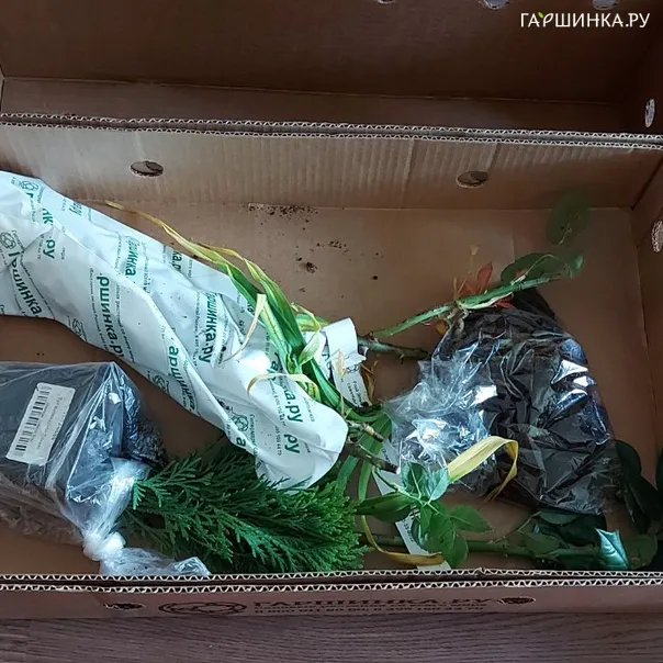 превью изображения отзыва