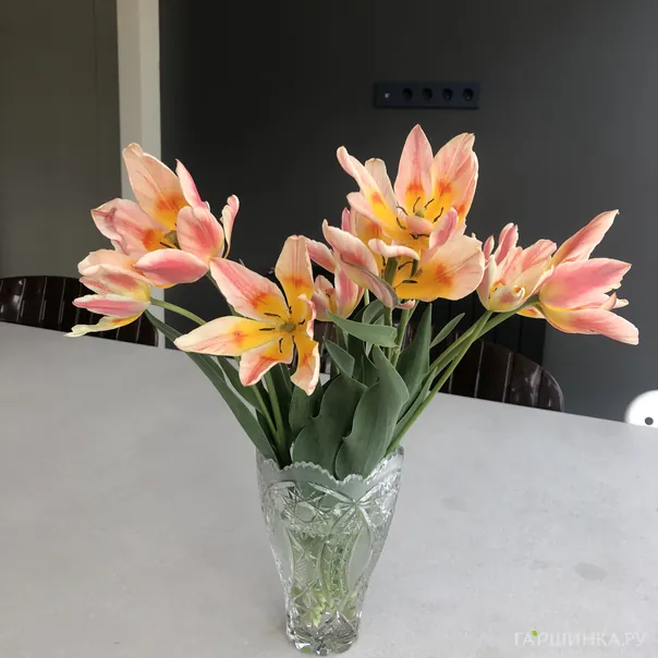 превью изображения отзыва