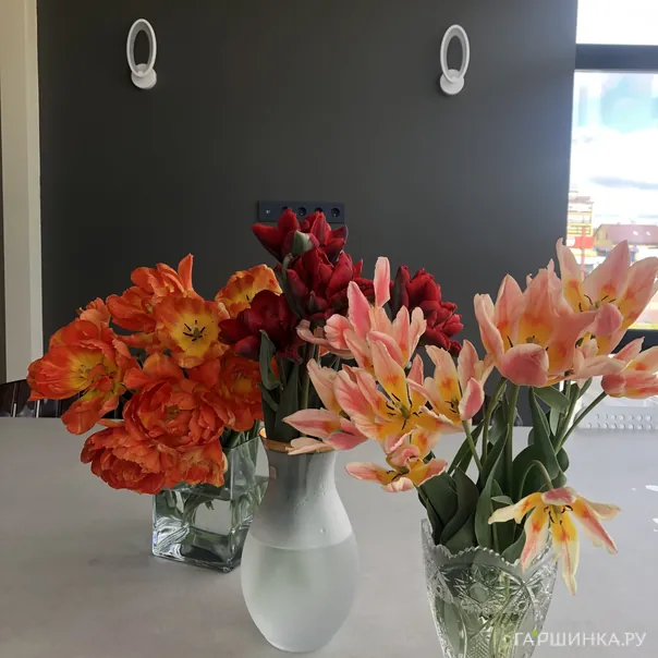 превью изображения отзыва