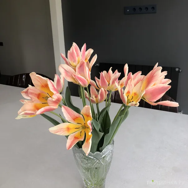 превью изображения отзыва