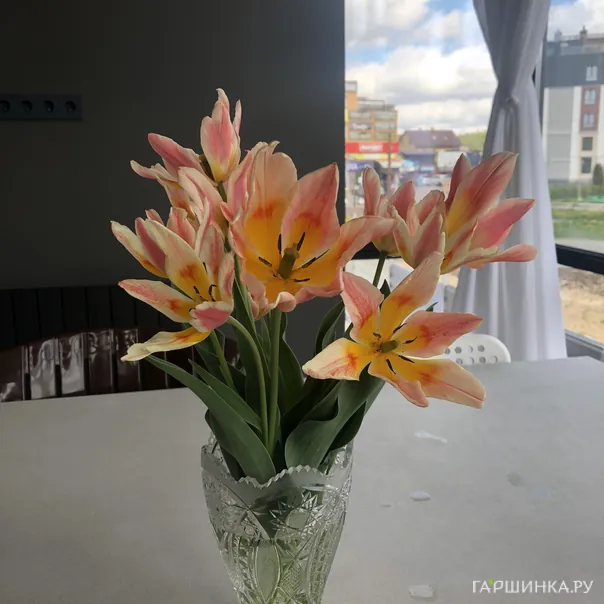 превью изображения отзыва