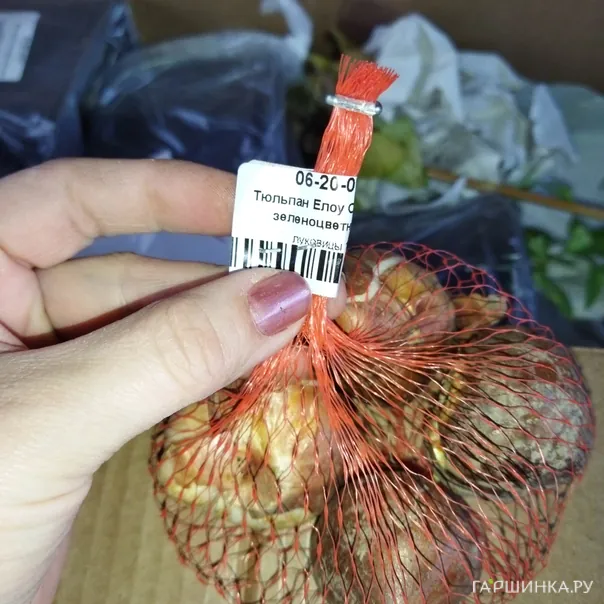 превью изображения отзыва