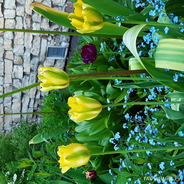 превью изображения отзыва