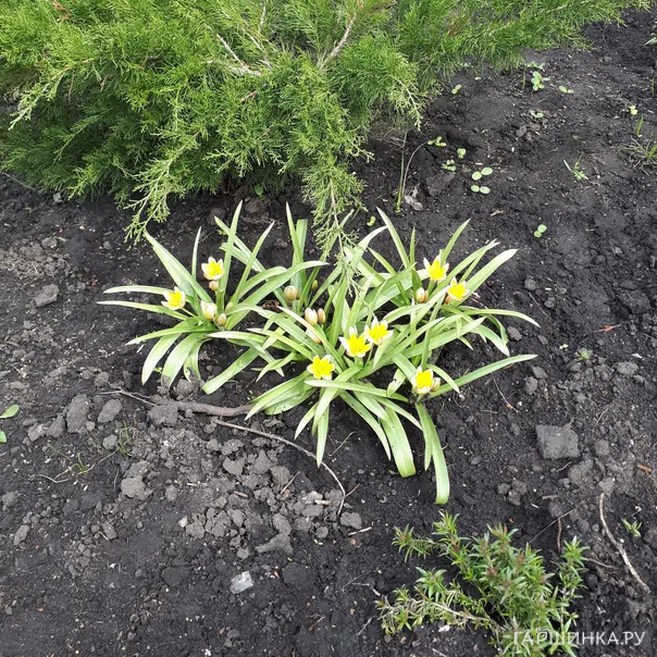 превью изображения отзыва