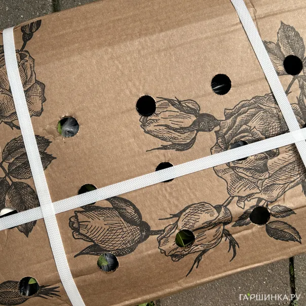 превью изображения отзыва