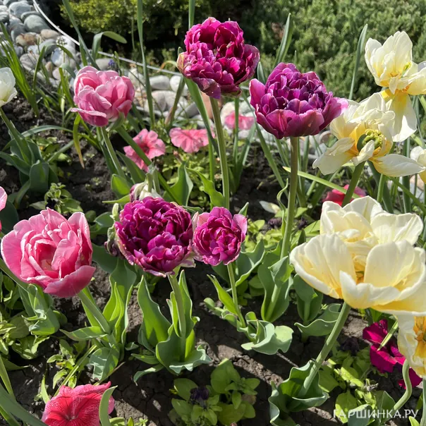 превью изображения отзыва