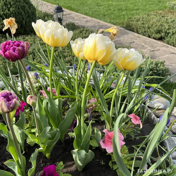 превью изображения отзыва