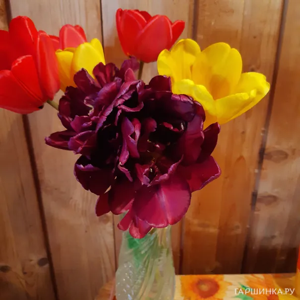 превью изображения отзыва