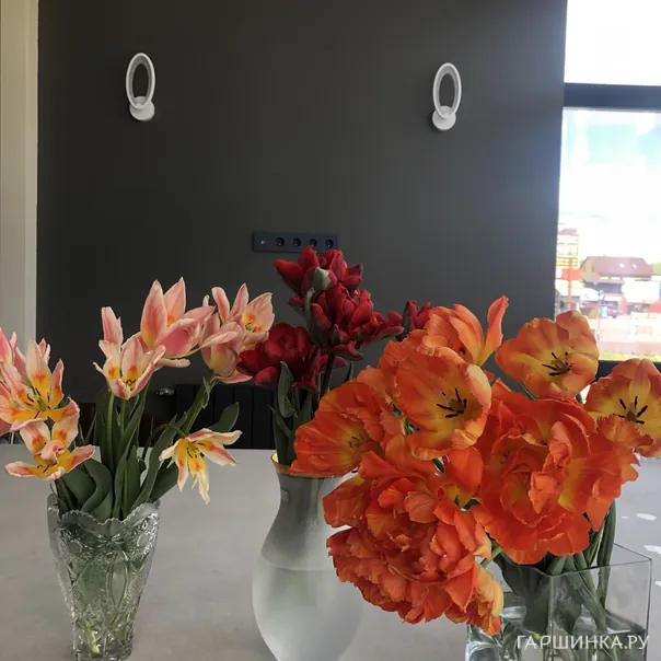 превью изображения отзыва