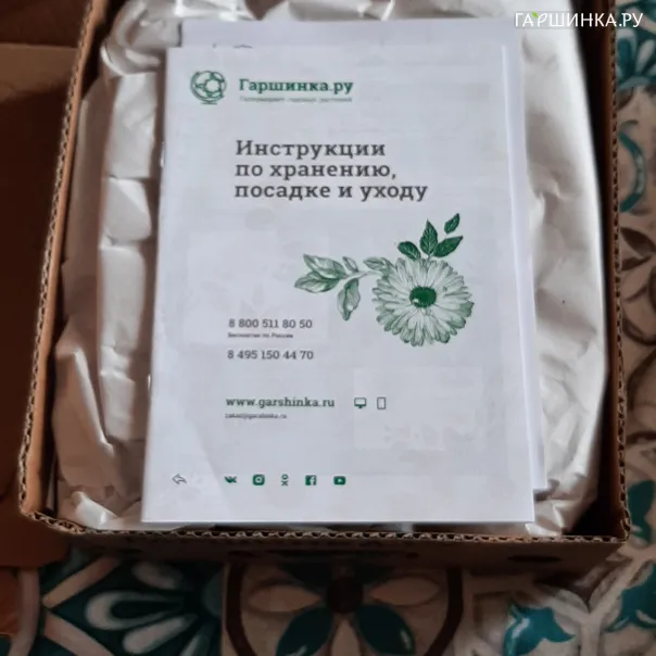 превью изображения отзыва