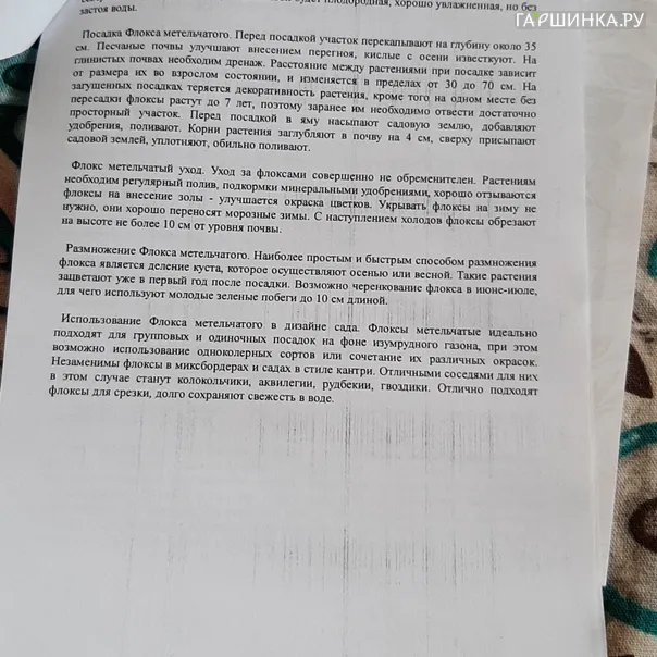 превью изображения отзыва