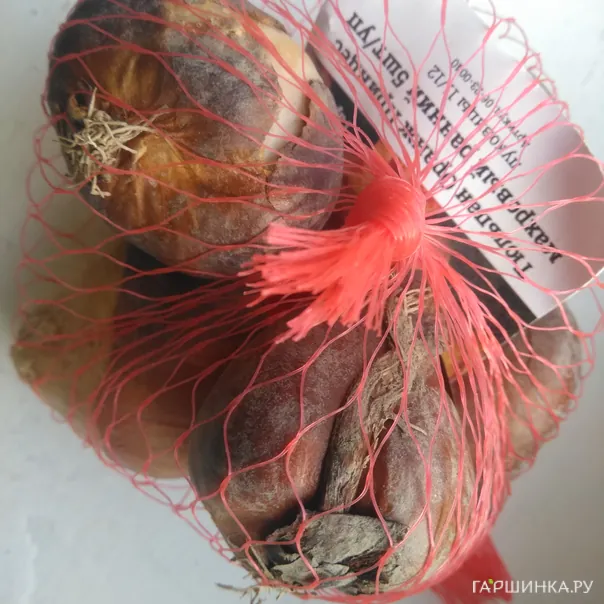 превью изображения отзыва