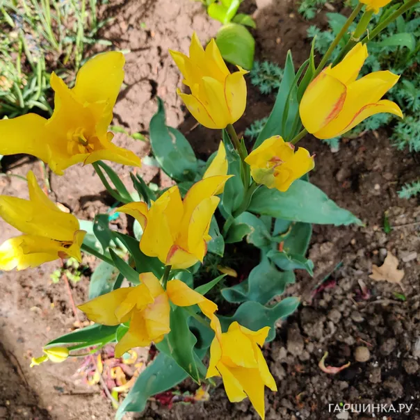 превью изображения отзыва