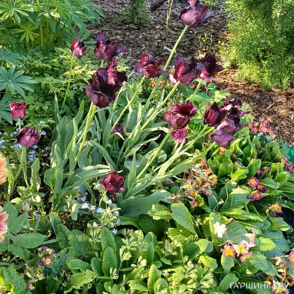 превью изображения отзыва