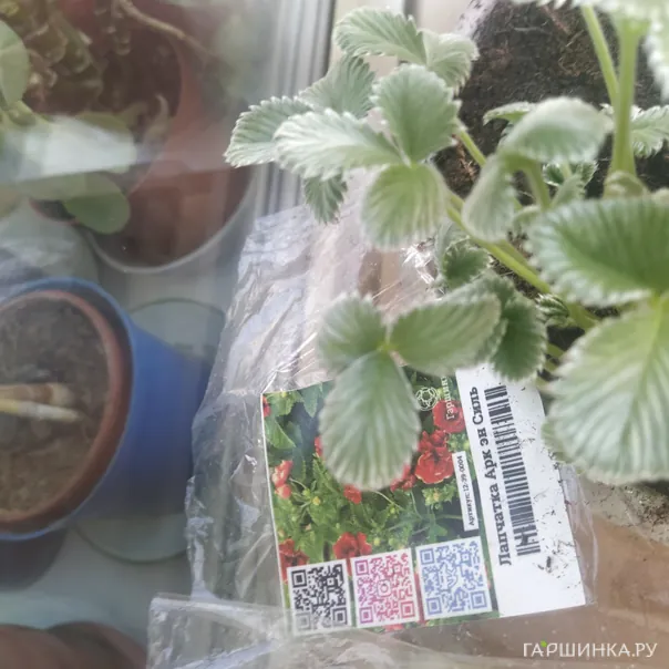 превью изображения отзыва