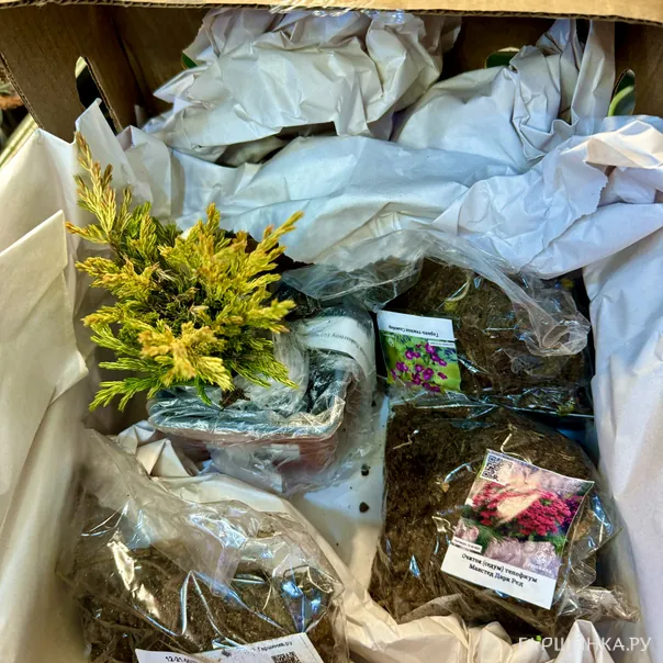 превью изображения отзыва